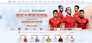 BOB体育人DNA精髓必将携手球迷，追逐梦想，发现美好