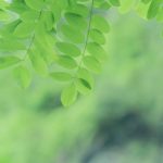 探索wellbet吉祥访官网：畅享在线娱乐新体验